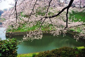 1-千鳥ヶ淵