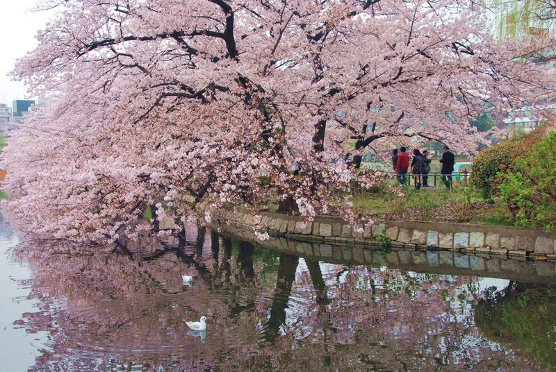 6-上野公園
